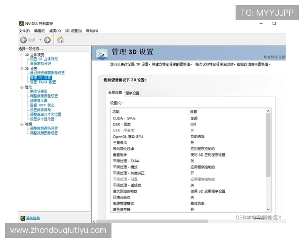 dqtv斗球下载过程中常见问题及解决方案详解